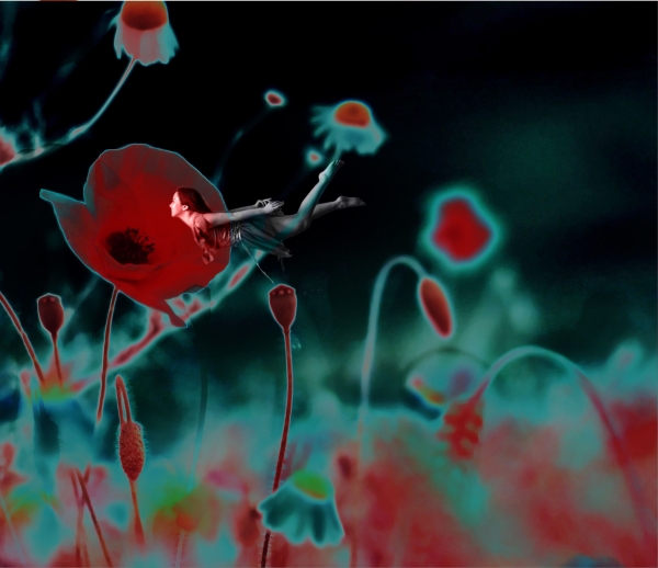 Creation of Poppy Fairy: Step 5
